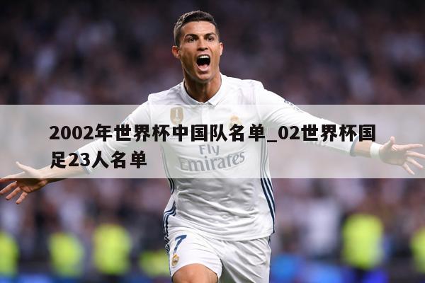 2002年世界杯中国队名单_02世界杯国足23人名单
