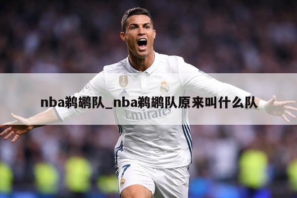 nba鹈鹕队_nba鹈鹕队原来叫什么队